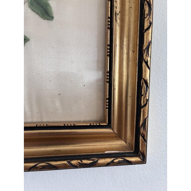 Pink Vintage Framed Flower Embroideries on Silk, Set of 2 For Sale - Image 8 of 18