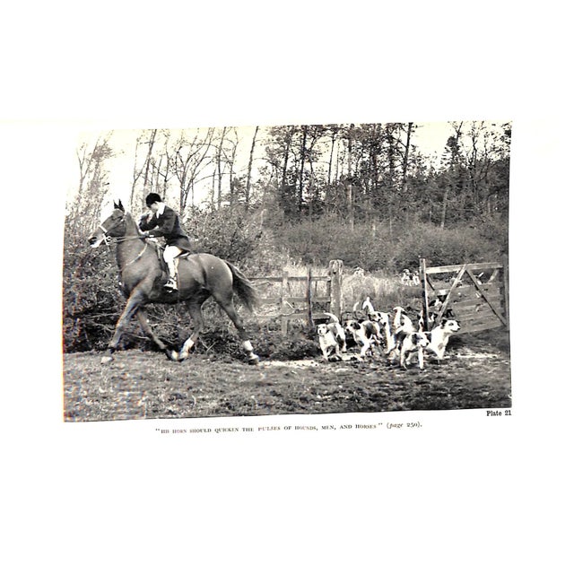 "To Hunt the Fox" Brock, David m.f.h For Sale - Image 10 of 10