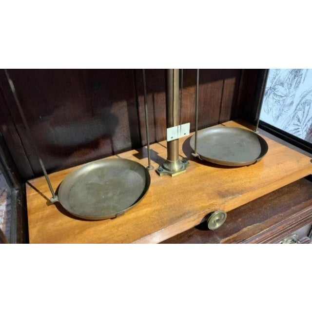 Portuguese Pharmacy Scale, 19th Century For Sale - Image 6 of 12