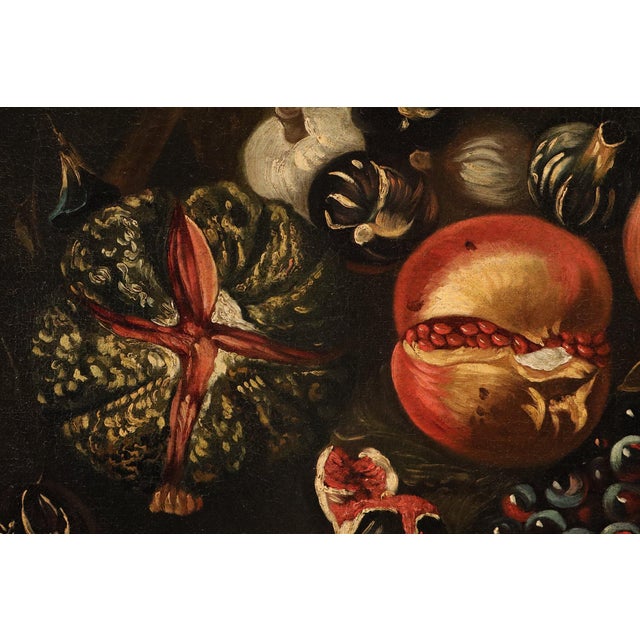 17th Century Michele Pace, Detto Michelangelo Del Campidoglio, Cerchia Di, Still Life with Fruit Peace, 1680, Oil on Canvas For Sale - Image 5 of 15