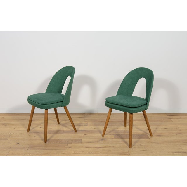 Mid-Century Modern Set of Dining Chairs by Antonín Šuman for Tatra, 1960s For Sale - Image 3 of 18