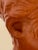 Mid-20th Century Italian Terracotta Bust For Sale - Image 12 of 15