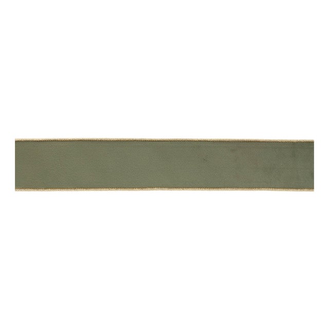Green Wired Ribbon (Set of 2) For Sale
