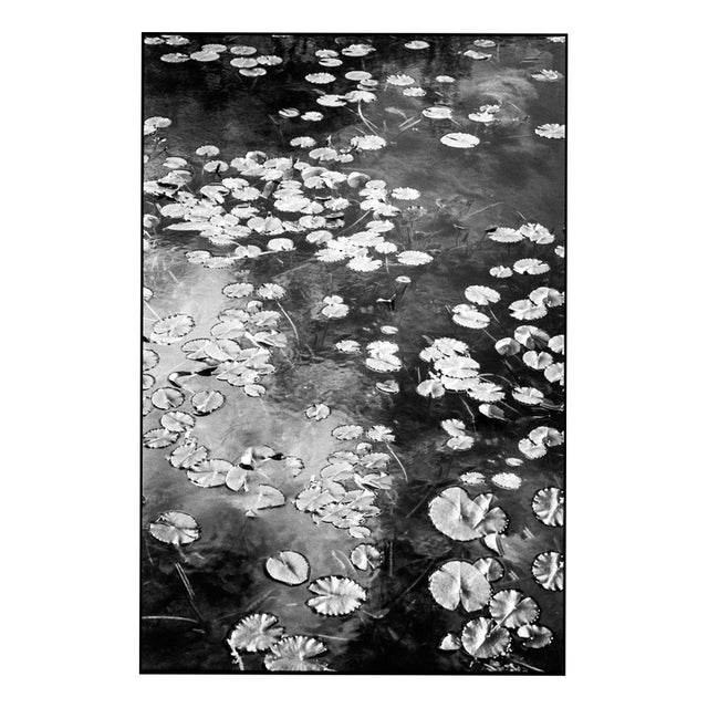 Paul Cooklin, Pembrokeshire Wales 04 0055 Edit, Edition of 50 For Sale