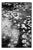 Paul Cooklin, Pembrokeshire Wales 04 0055 Edit, Edition of 50 For Sale
