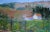 2020s Original Painting, Plein Air Sonoma Farm California For Sale - Image 5 of 13