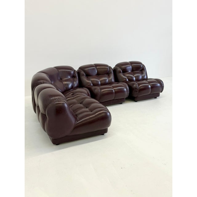 Animal Skin Nuvolone Modular Sofa by Rino Maturi for Mimo Padova, 1970s, Set of 4 For Sale - Image 7 of 12