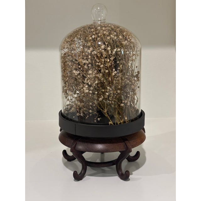 Cabinet of Curiosities Glass Cloche With Bird’s Nest Wrapped in Dried Gypsophila on Decorative Asian Wooden Stand For Sale - Image 12 of 15