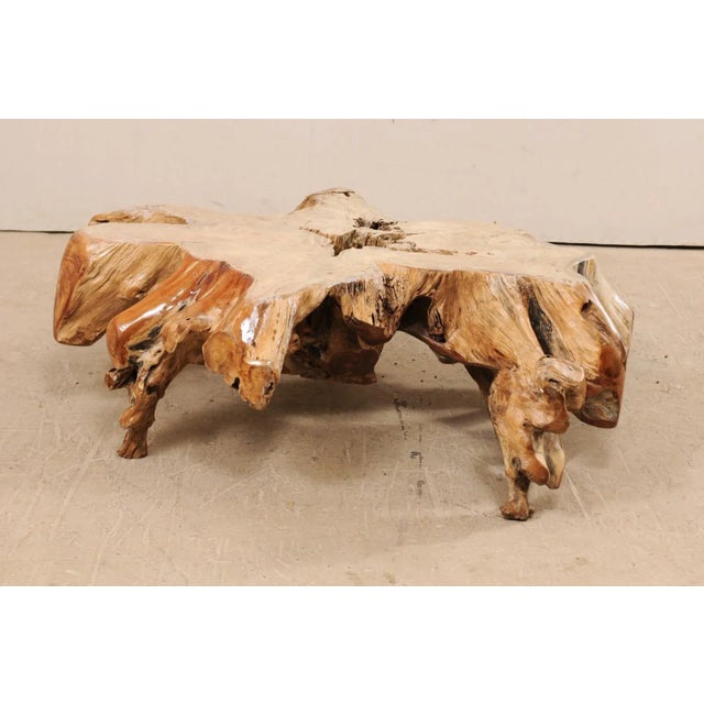 Early 21st Century Tropical Teak Root Hardwood Coffee Table For Sale - Image 5 of 12