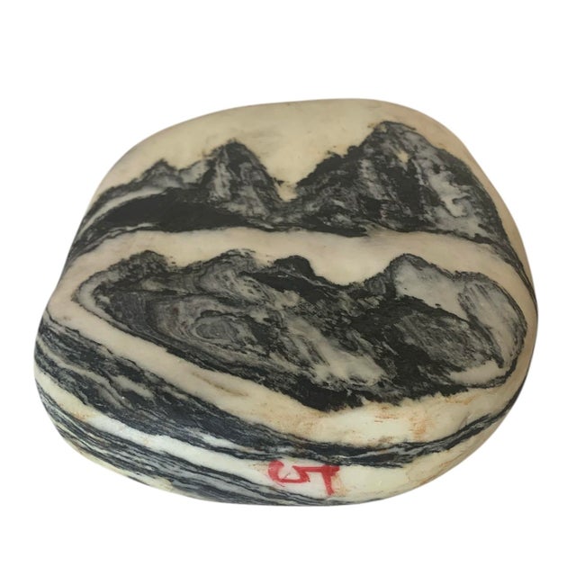 Wood Dali Dreamstone Marble Republic Period, 1912-1949 For Sale - Image 7 of 8