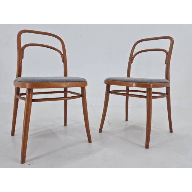 Set of Bentwood Chairs by Antonín Šuman, 1960s For Sale - Image 6 of 12