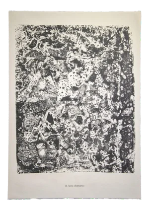 Jean Dubuffet - Bedecked Earth - Original Lithograph - 1959