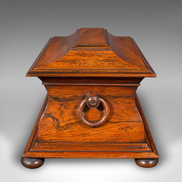 Antique Sarcophagus Loose Leaf Tea Caddy, Drawing Room, English, Regency, c.1820 For Sale - Image 6 of 12