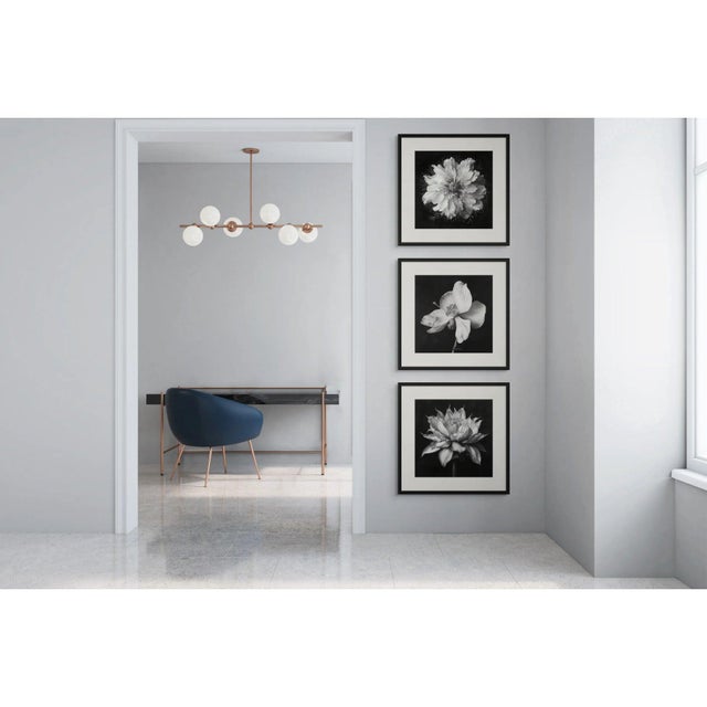 Contemporary 20" X 20" - 'Nigella Damascena Flower' - Black and White Botanical Photography Print For Sale - Image 3 of 5