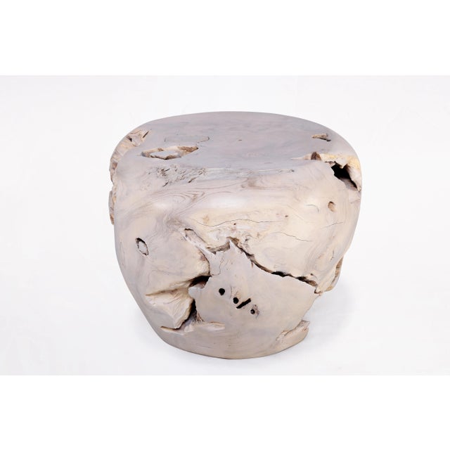 Contemporary Bleached White Teak Root Accent or Side Table or Stool 23 For Sale - Image 3 of 5