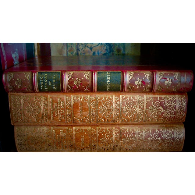 Animal Skin Mid 19th Century The Comic History of Rome by Gilbert Abbott Beckett, Illustrated by John Leech, Published by Bradbury, Evans, and Co. In London For Sale - Image 7 of 13