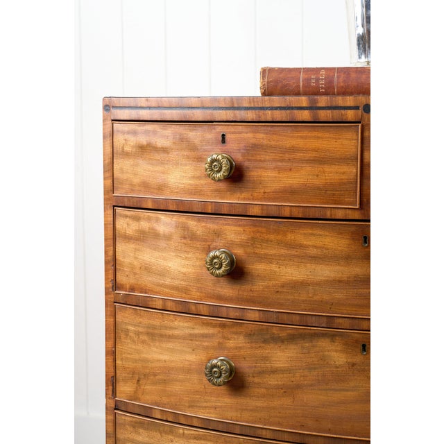Wood George III Period Mahogany Bowfront Chest With Brass Floral Knobs (C. 1820) For Sale - Image 7 of 15