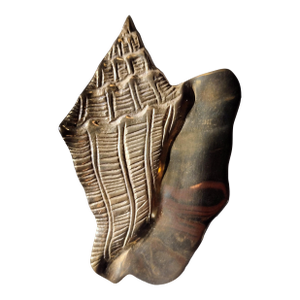 Vintage Brass Conch Shell Wall Hanging