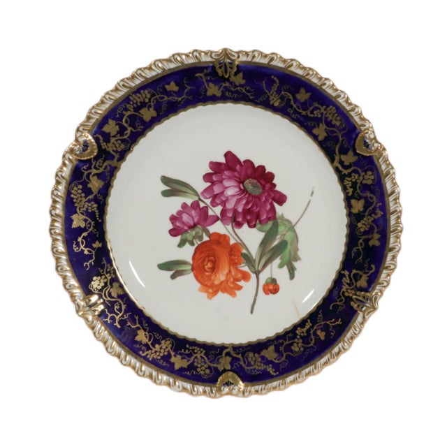 Coalport Porcelain Botanical Plates, Set of Twelve, John Rose For Sale - Image 13 of 16
