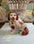 Red Charming Pair of Vintage Staffordshire Style Spaniels With Gilt Chain Collars and Parted Legs, Red & Cream Porcelain Dogs For Sale - Image 8 of 17
