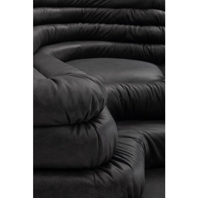 Animal Skin Ubald Klug Ds-1025 “Terrazza” Sofa for De Sede, Black Leather, Switzerland 1974 - Set of Two For Sale - Image 7 of 16