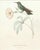 Set of 6 French Hummingbird Prints by Louis Bevalet Framed For Sale - Image 4 of 8