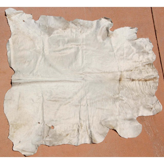 Off-white Hand-Crafted White Cowhide Rug from Argentina, Folk Art Style, 1980 For Sale - Image 8 of 18