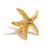 Metal Ocean Spirit Starfish Gold Adjustable Ring, Size 8 For Sale - Image 7 of 7