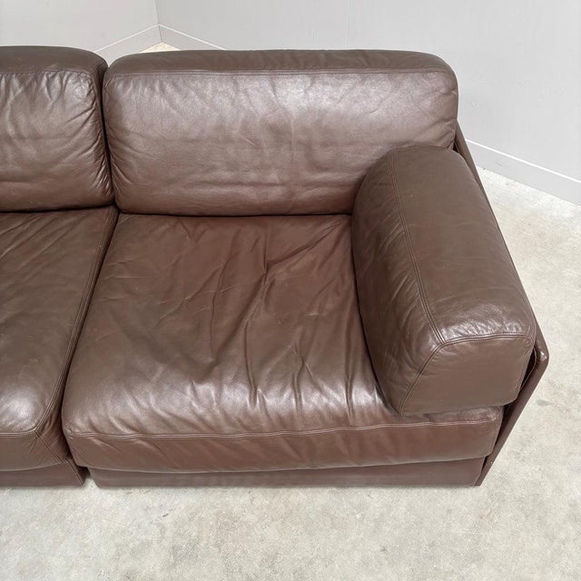 Vintage DS76 Sofa from de Sede, 1970s For Sale - Image 10 of 16