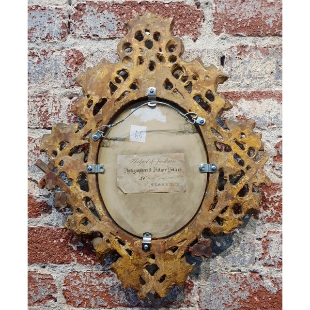 Wood Michelangelo Meucci -19th Century Still Life of Song Birds -Oil Painting For Sale - Image 7 of 9