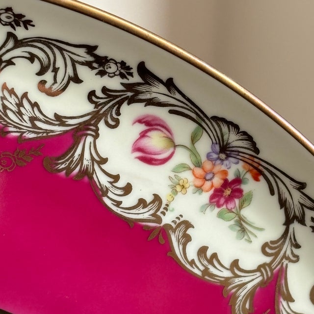 Victorian Early-20th Century Tirschenreuth Bavaria Decorative Porcelain Plate For Sale - Image 3 of 10