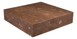 Silvestrin Coffee Table in Jurassic Fossil Stone by Nerinea
