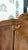 Dresden-Style Cabinet in Walnut, 1890 For Sale - Image 3 of 17