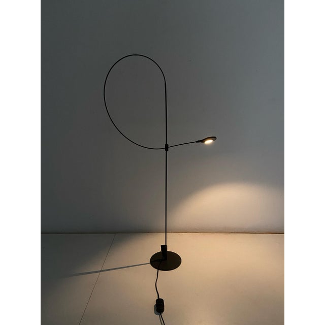 Halogen floor lamp. Black painted metal frame. with a sinuous line, the central stem, made of flexible electrical cable,...