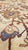Textile Antique Persian Sultanabad Carpet Ivory, Red, Light Blue, and Green For Sale - Image 7 of 18