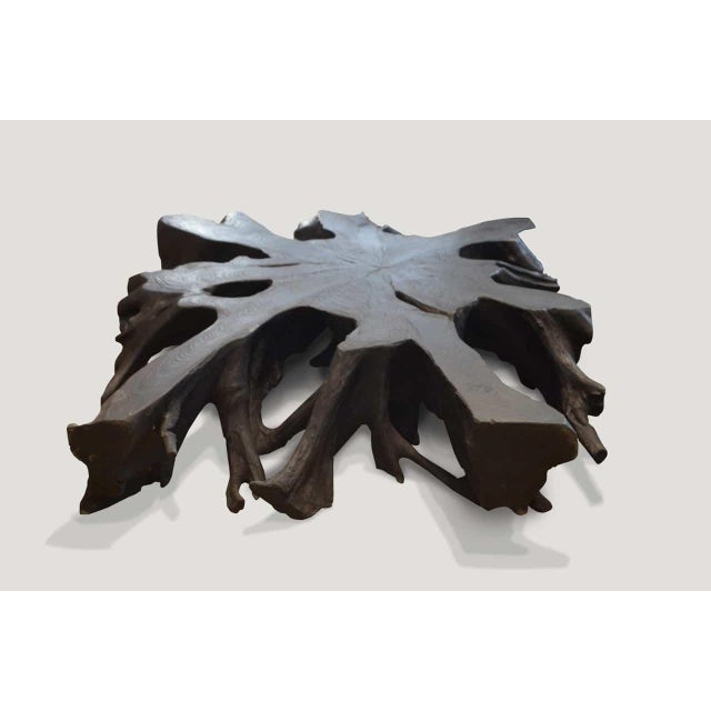 2010s Andrianna Shamaris Teak Wood Root Wall Hanging or Coffee Table For Sale - Image 5 of 5