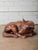 2020s Hand-Carved Wooden Sleeping Dog Sculpture in Curled Resting Pose For Sale - Image 5 of 6