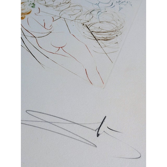 1960s Salvador Dali, Woman and Horse, 1973, Etching For Sale - Image 5 of 10