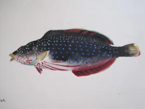 Original 19th Century Watercolor Painting