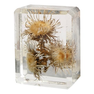 Acrylic Glass Paperweight with Encased Flowers by Pierre Giraudon, France, 1970s For Sale