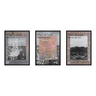 Damien Hirst, Where the Land Meets the Sea, 2023, Print, Framed, Set of 3 For Sale