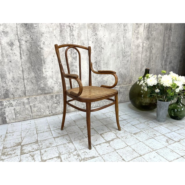 French Individual Bentwood Bistro Chair Carver with Cane Seat, 1920s For Sale - Image 9 of 9