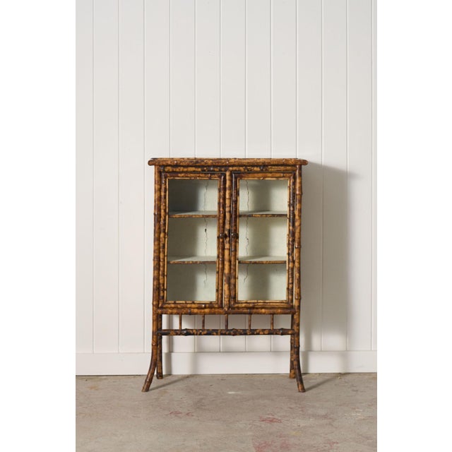 English 19th Century Tortoise Bamboo 2-Door Glass Front Cabinet For Sale - Image 3 of 14