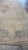 Mid 20th Century Mid-20th Century Antique Kerman Wool Rug For Sale - Image 5 of 14