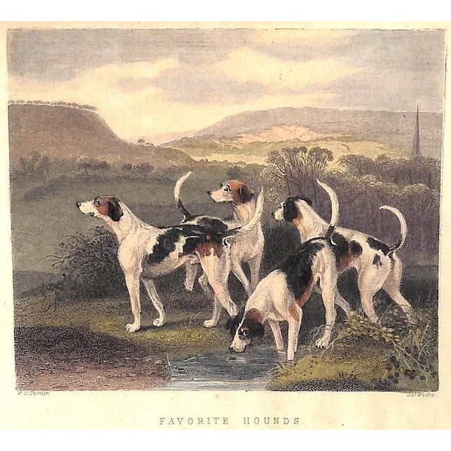 "The Noble Science of Fox-Hunting: Vol I & Ii" 1911 Blew, w.c.A. For Sale - Image 12 of 15