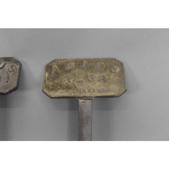 Metal Antqiue Plant Labels, 1900, Set of 5 For Sale - Image 7 of 10