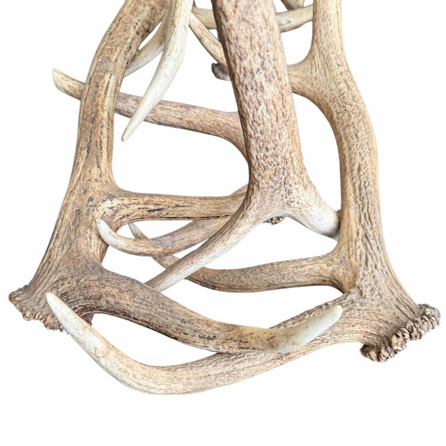 Elk Antler Console Table With Leather Top For Sale - Image 17 of 17