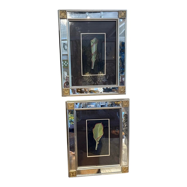 Vintage Framed Botanical Watercolors Signed by Marie Frederique.- A Pair For Sale