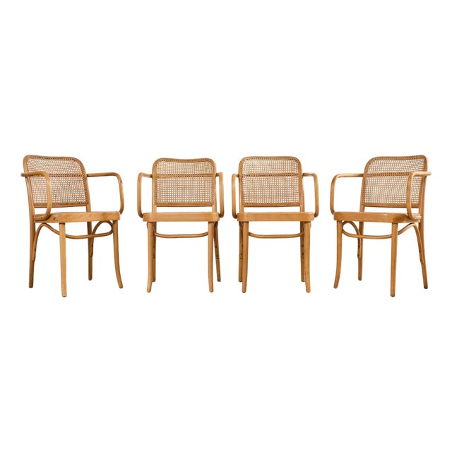 Set of Four Thonet Prague Bentwood Armchairs by Josef Hoffman For Sale
