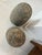 Dark Gray Pair of Venetian Boat Ties For Sale - Image 8 of 12